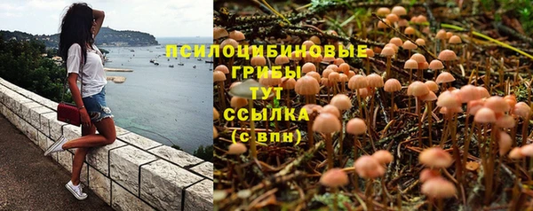гашик Алексеевка