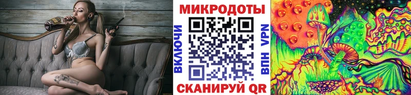 сколько стоит  Фатеж  Псилоцибиновые грибы Psilocybe 